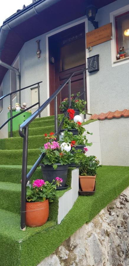 Appartement Haus Daniel Mariazell Extérieur photo
